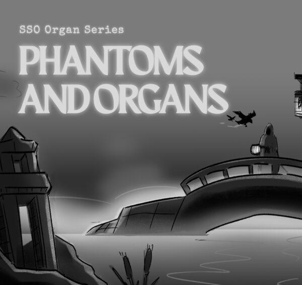 Phantoms and Organs